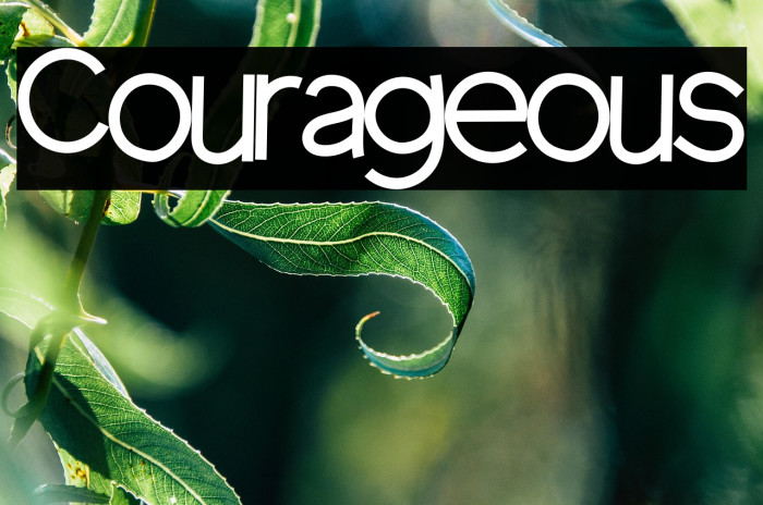 Courageous Example 2