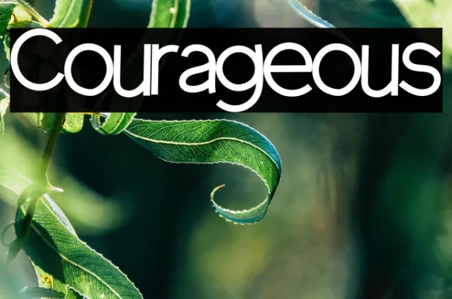 Courageous Example 2