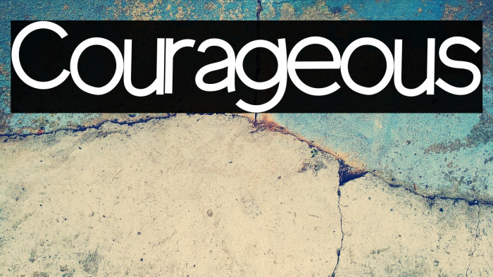 Courageous Example 3