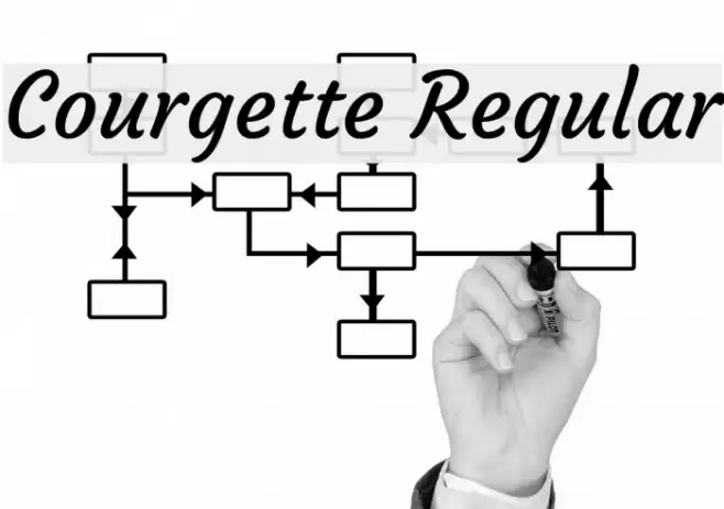 Courgette Regular Font examples