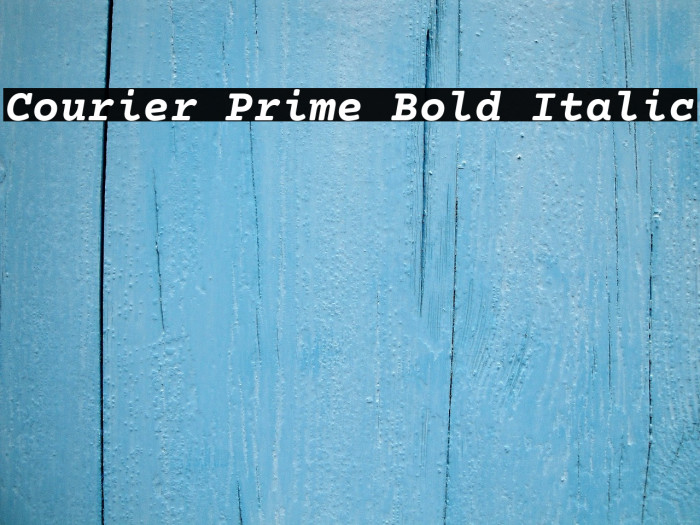 Courier Prime Bold Italic Example 1