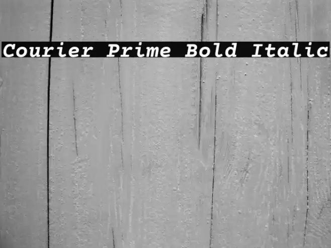 Courier Prime Bold Italic Font examples