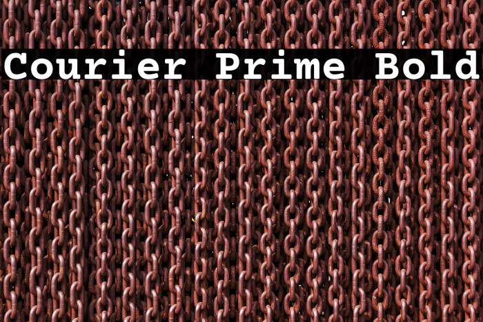 Courier Prime Bold Font examples