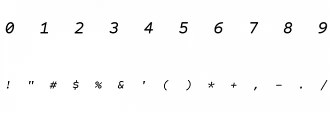 Courier Prime Code Italic Font OTHER CHARS