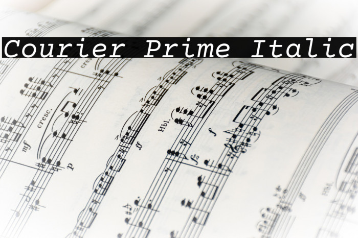 Courier Prime Italic Font examples