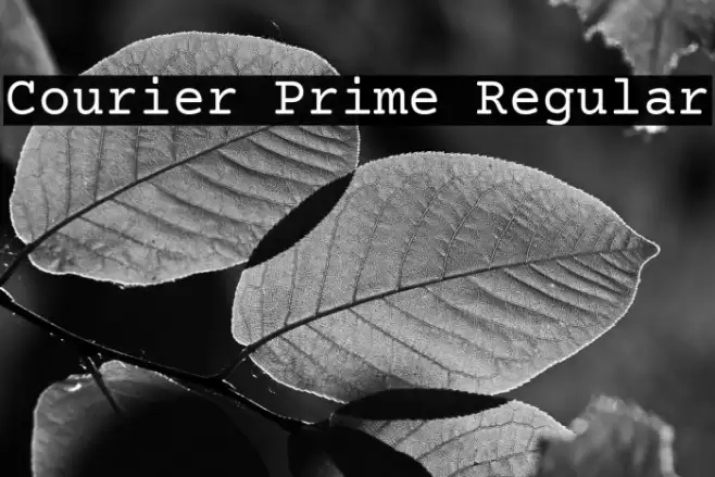 Courier Prime Regular Font examples
