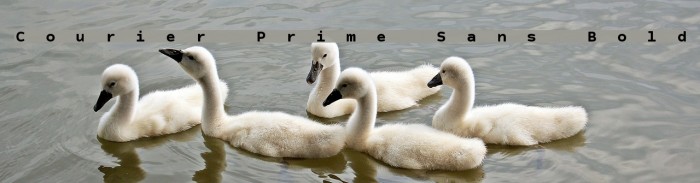 Courier Prime Sans Bold Font examples