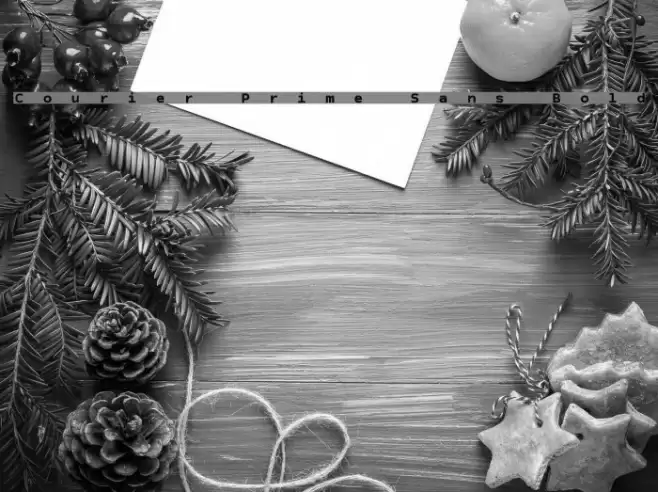 Courier Prime Sans Bold Font examples
