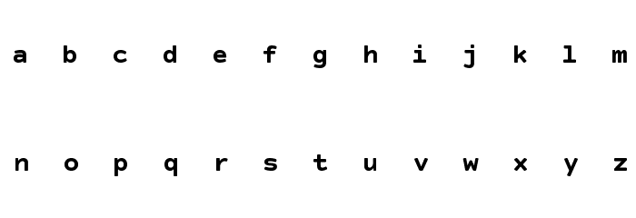 Courier Prime Sans Bold Font LOWERCASE