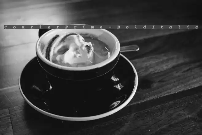 CourierPrime-BoldItalic Font examples