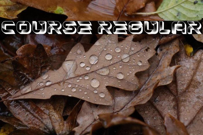 Course Regular Example 2