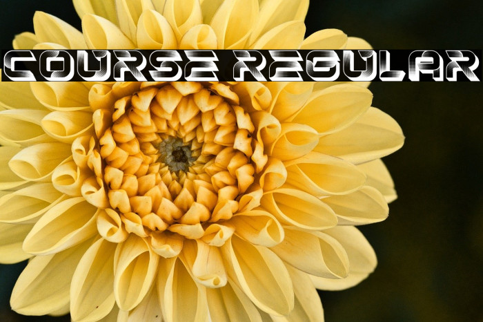 Course Regular Example 3