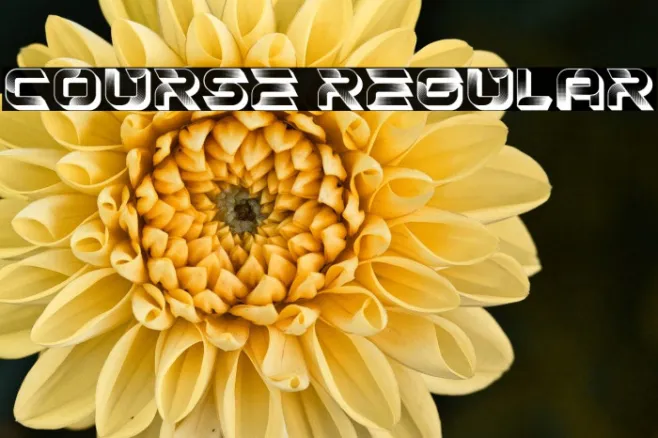 Course Regular Example 3