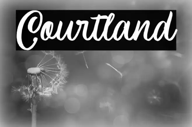 Courtland Font examples