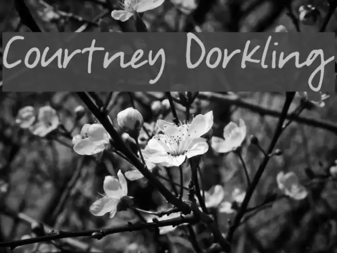 Courtney Dorkling Font examples