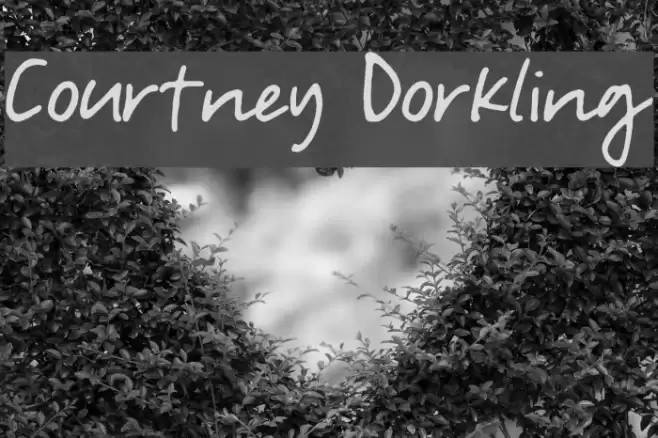 Courtney Dorkling Font examples