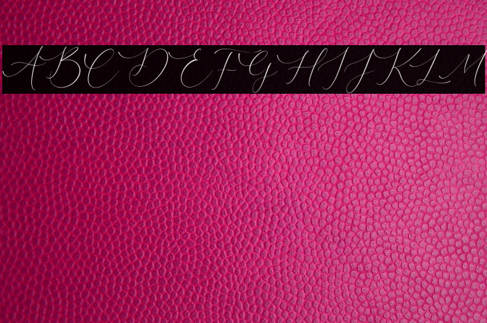 Courtney Martines Example 3