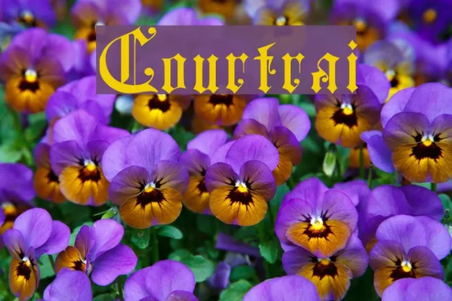 Courtrai Example 2