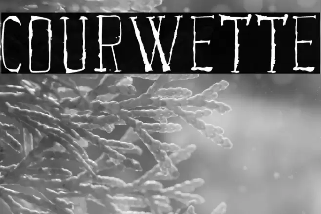 Courwette Font examples