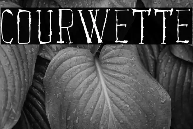 Courwette Font examples
