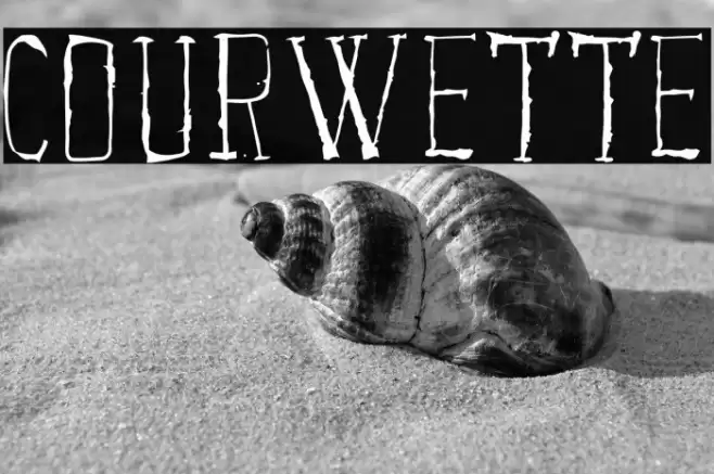 Courwette Font examples