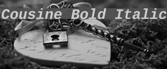 Cousine Bold Italic Font examples