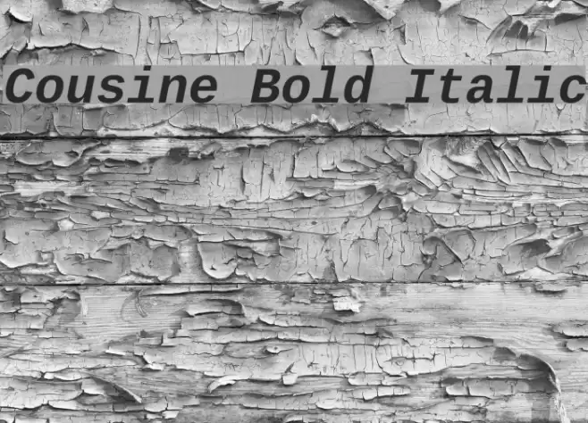 Cousine Bold Italic Font examples