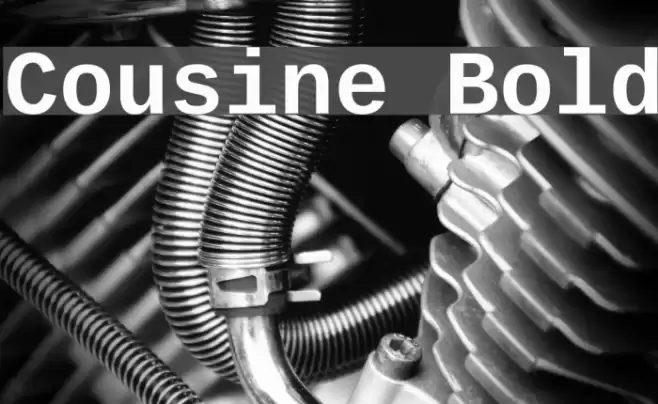Cousine Bold Font examples