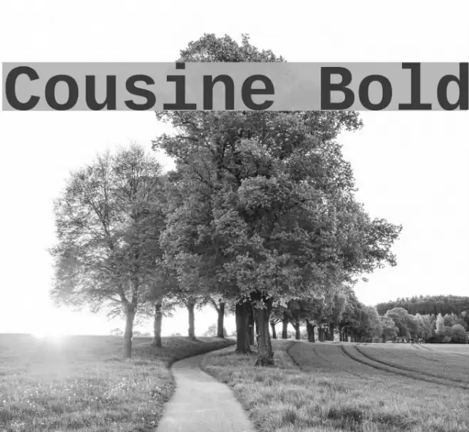 Cousine Bold Font examples