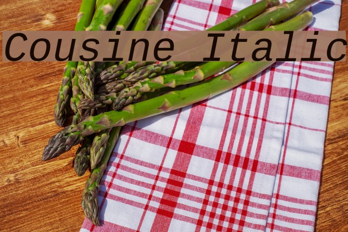 Cousine Italic Font examples