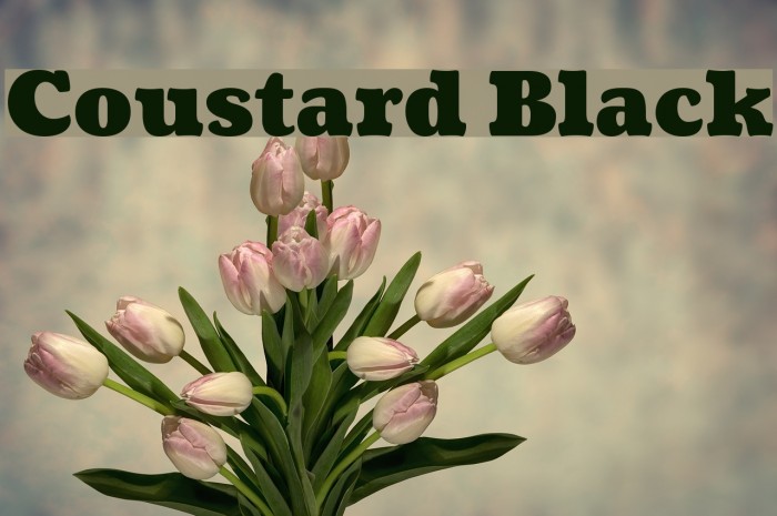 Coustard Black Example 1