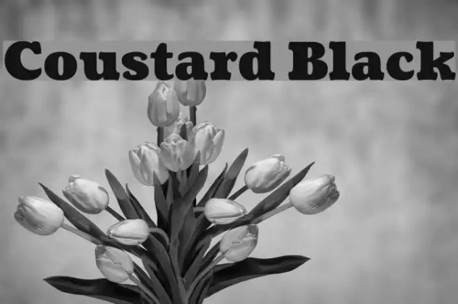 Coustard Black Font examples