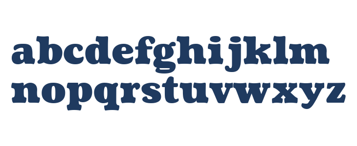 Coustard Black Lowercase