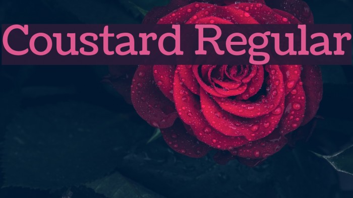 Coustard Regular Font examples