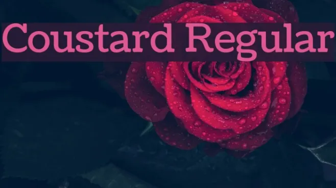 Coustard Regular Example 2