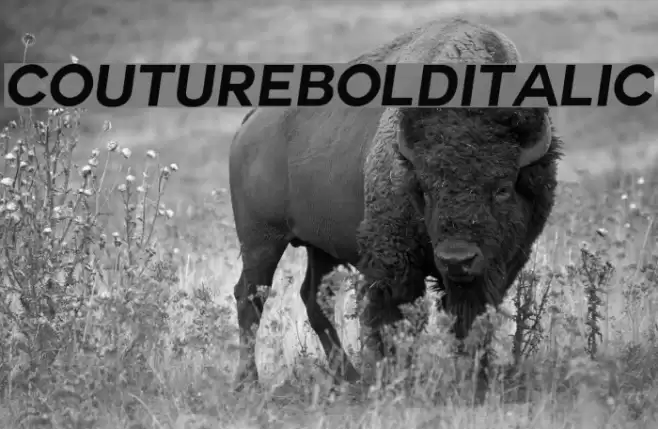 Couture-BoldItalic Font examples