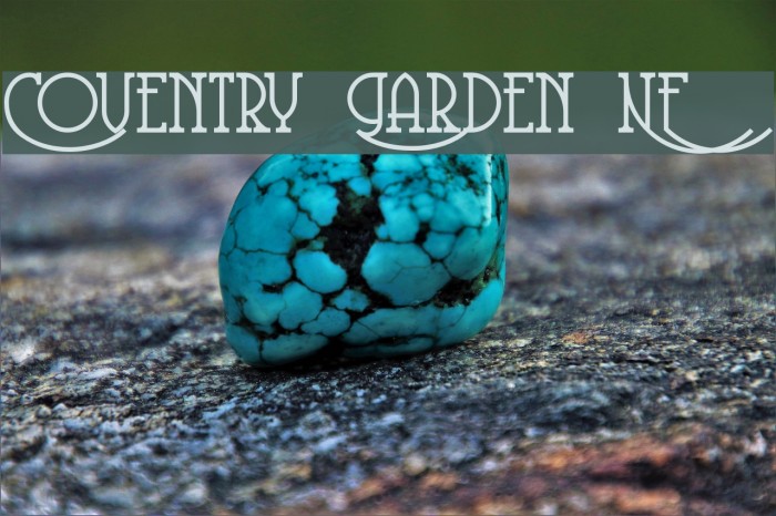Coventry Garden NF Font examples