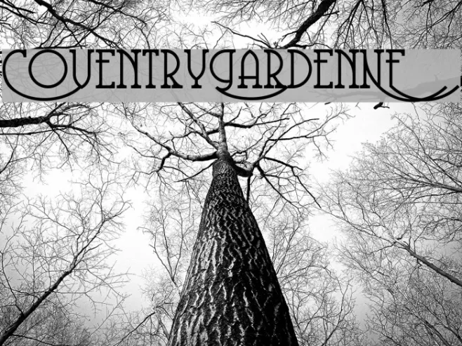 CoventryGardenNF Example 2