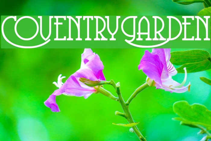 CoventryGarden Font examples