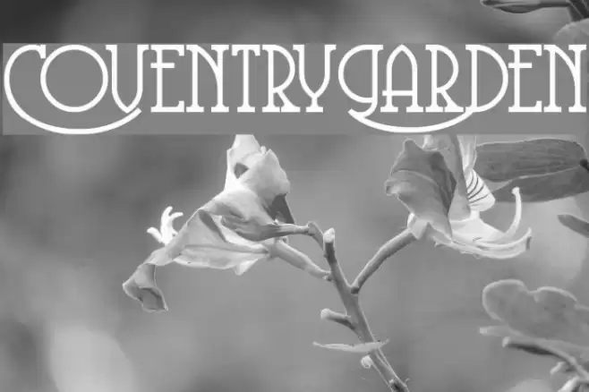 CoventryGarden Fuentes examples