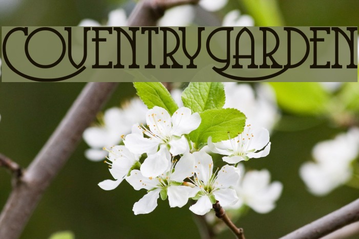 CoventryGarden Font examples