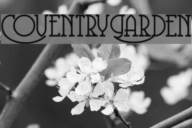 CoventryGarden Fuentes examples