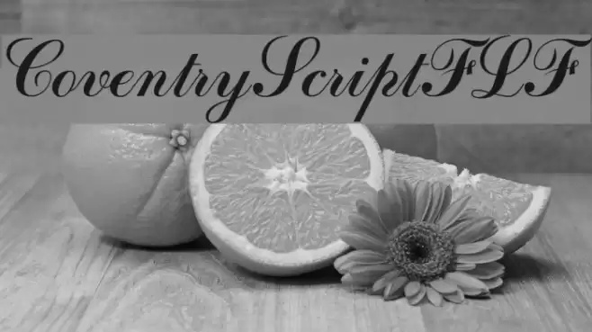 CoventryScriptFLF Font examples