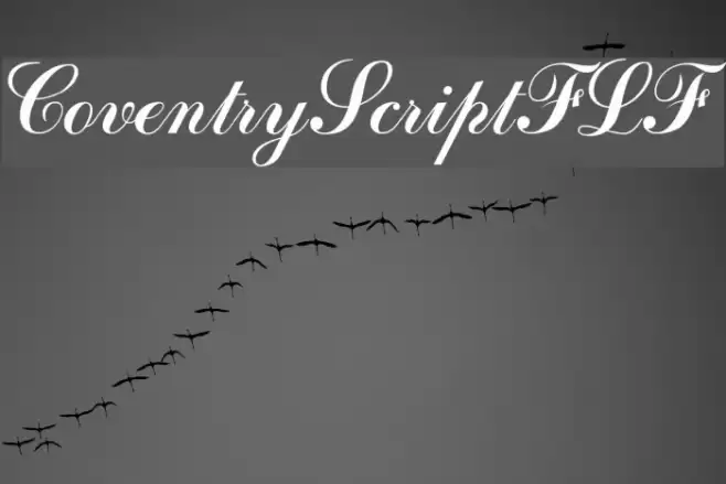 CoventryScriptFLF Font examples