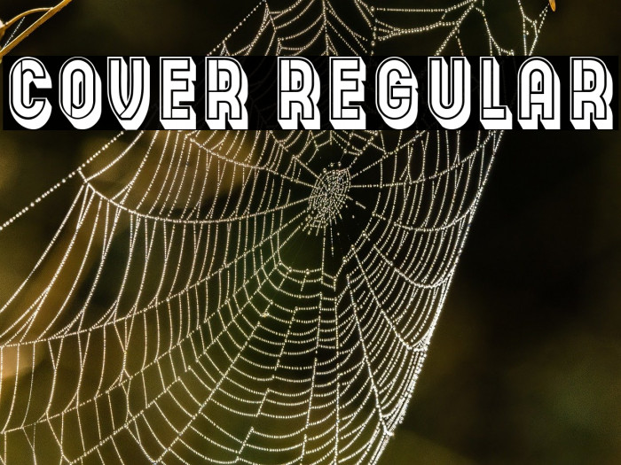 Cover Regular Example 2