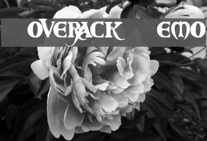 Coverack Demo Font examples