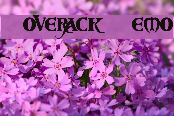 Coverack Demo Шрифта examples