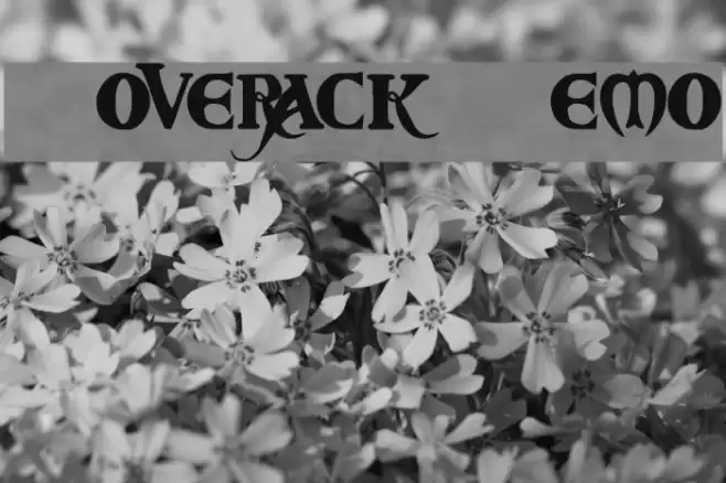 Coverack Demo Font examples