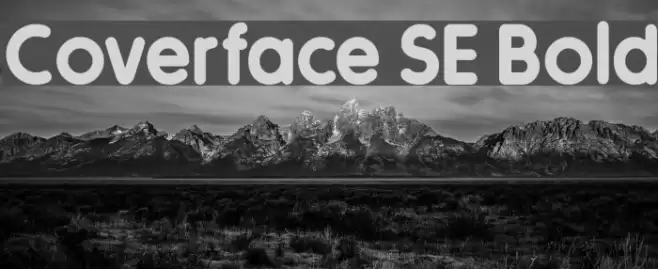 Coverface SE Bold  examples