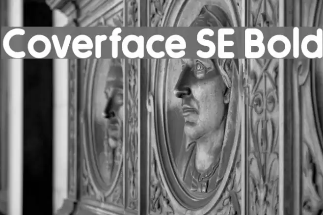 Coverface SE Bold  examples